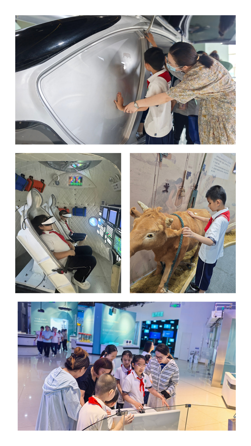 图片三.jpg